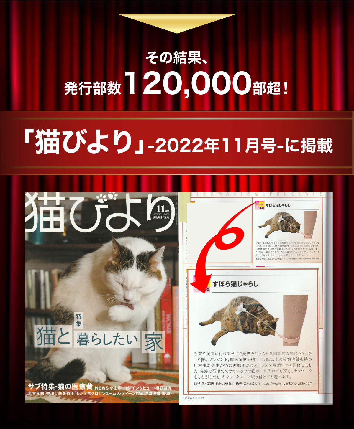 ☆楽天1位【テレビ紹介されました】【 雑誌猫びより掲載 猫 おもちゃ