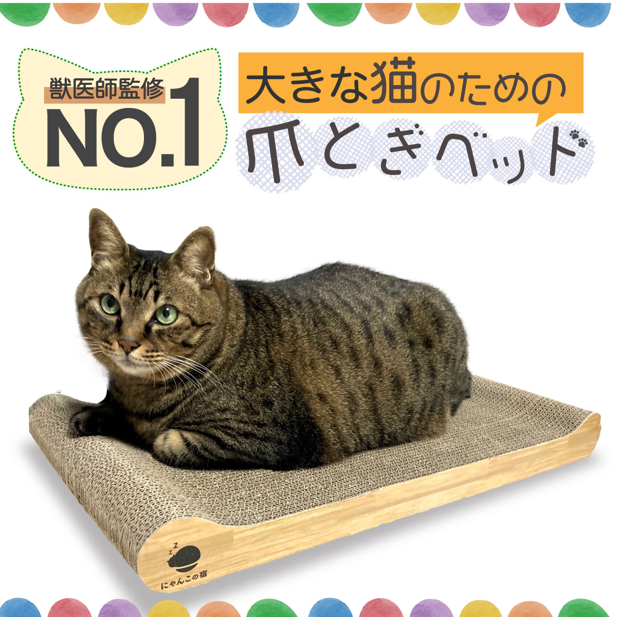 楽天市場】【獣医師監修】【大きな猫でもはみ出さない。洗濯が簡単