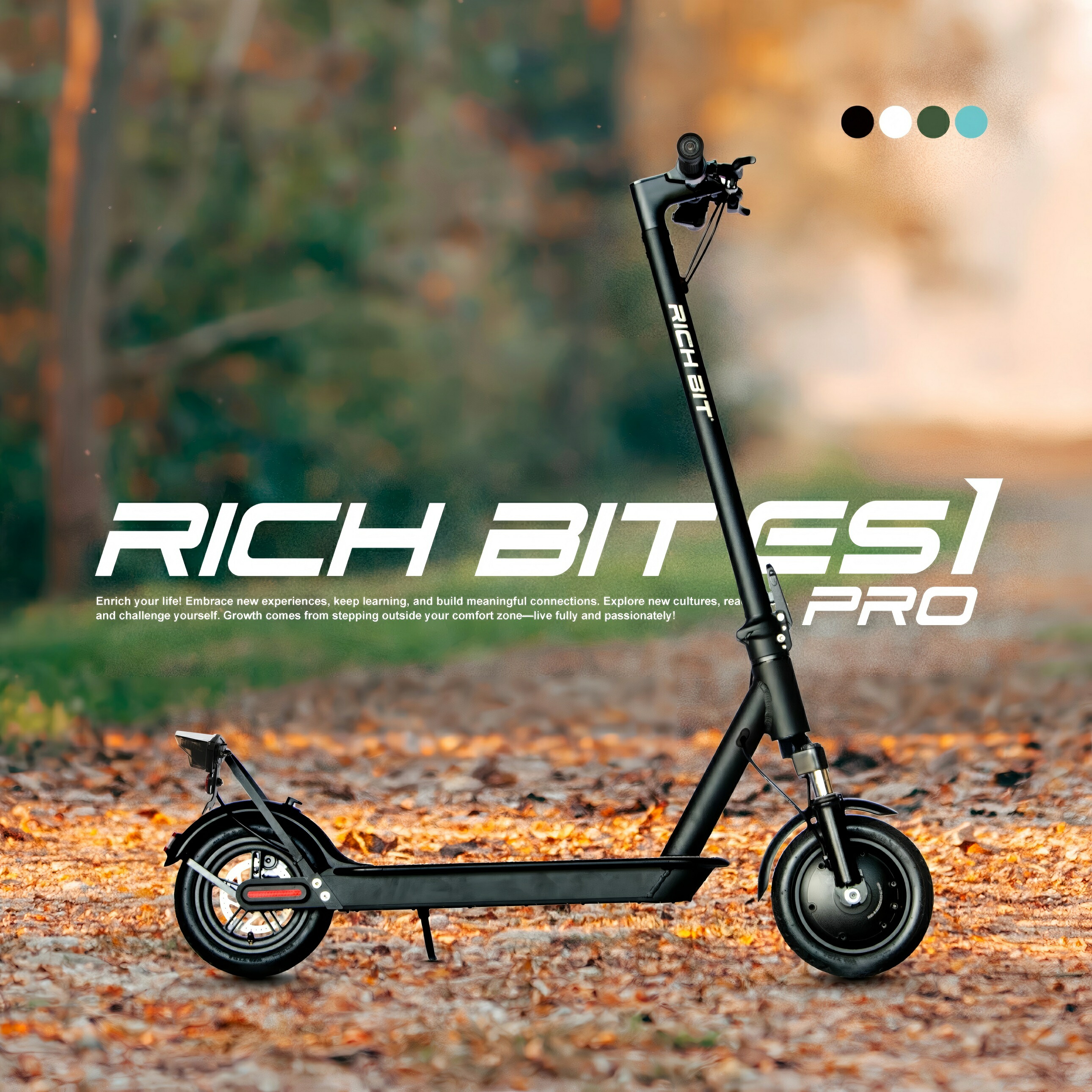 楽天市場】【Acalie正規品／純正品】RICHBIT ES1 PRO用サドル