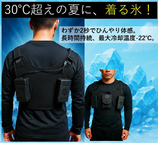 楽天市場】【 ベスト別売り】25最新モデル ペルチェデバイス単品