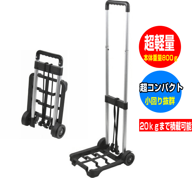 ★2ボールキャリー★ViSE★超美品★コンパクト★ ☆2ボールキャリー☆ViSE☆超美品☆コンパクト☆