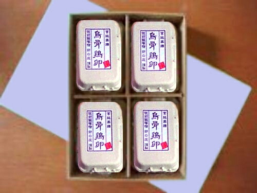 いつも美味しい特撰卵4箱セット4|筑前飯塚宿 たまご処 卵の庄