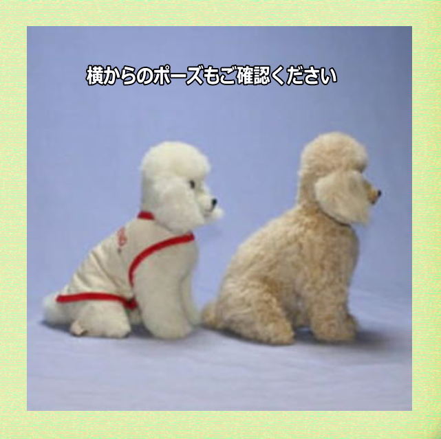 3 カットスタイルトイプードル 羊毛フェルトではない ハンドメード 犬グッズ ぬいぐるみ犬 テディベア 限定 リアル Lojascarrossel Com Br