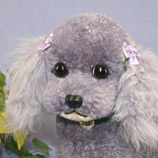 【楽天市場】完全オリジナル ハンドメイド ギフト トイプードル ぬいぐるみ トイプードル特選品 プードル 犬：こだわりパンダ
