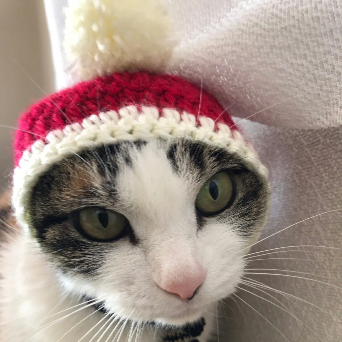 レース糸で編み込んだ、猫の鈴付き首輪