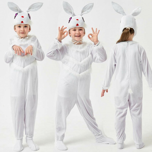 御召しものちびっ子用コスプレ