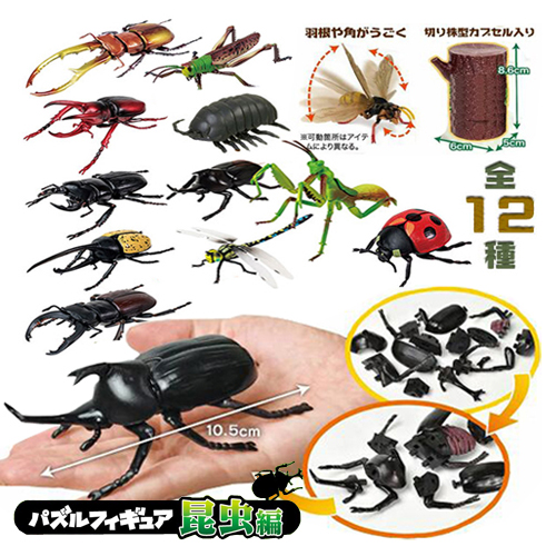 Bigヘラクレス　Bigクワガタ　6個セット　フィギュア 楽天市場】特価【5体セット ビッグ 甲虫 セット フィギュア