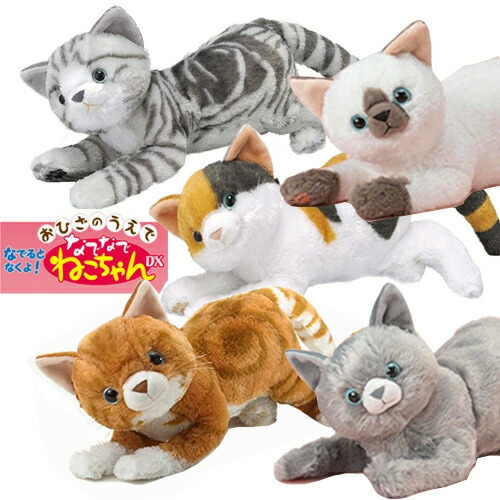 ted ぬいぐるみとキーホルダーセット 2162281746.jpg?1706504636