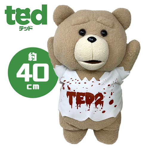 新品 送料込 Ted クマ テディーベア パーカー 可愛い 映画 M Copralim Ma