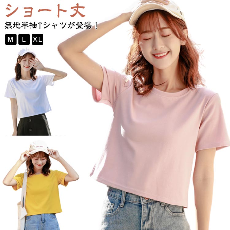 【2025年】エレガントファッションを上品に着 レディース 楽天市場】ラウンドネック tシャツ 半袖 ショート丈 トップス
