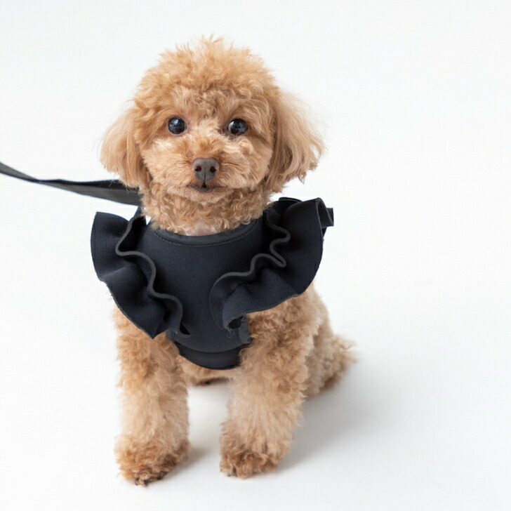 【Rapture ラプチャー】ネイプルズラッフルハーネス-黒いこと-DG-01-04- RAPTURE ダイバー原料品 愛玩動物御召しもの