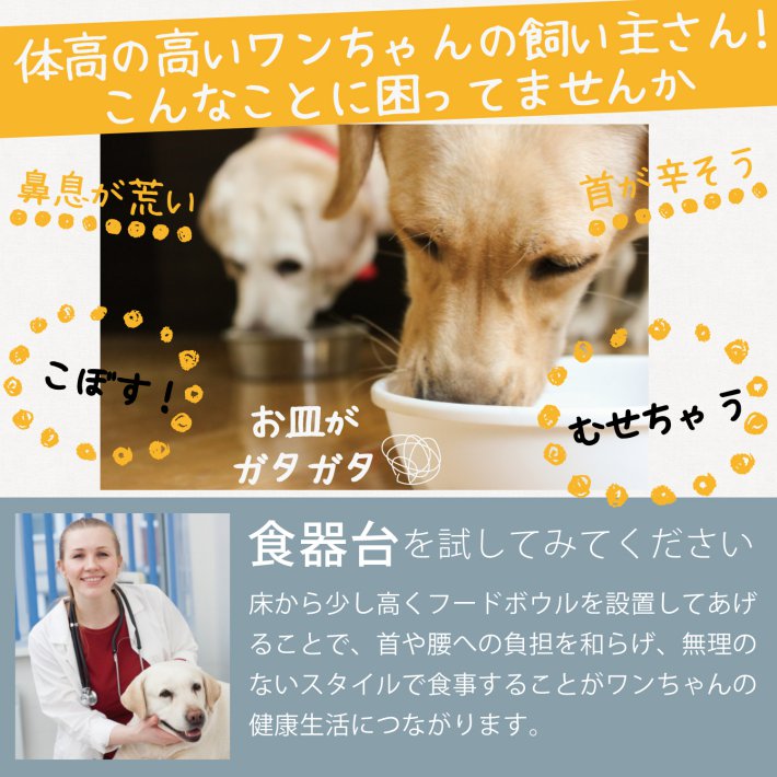 大型犬 フードボウル スタンド テーブル 餌入れ いぬ 犬 食器スタンド 北欧 アンティーク ラブラドール ゴールデン レトリーバー ステンレス アイアン 高さ約30cm ブラック 大型犬フードボウルスタンド Umu Ac Ug