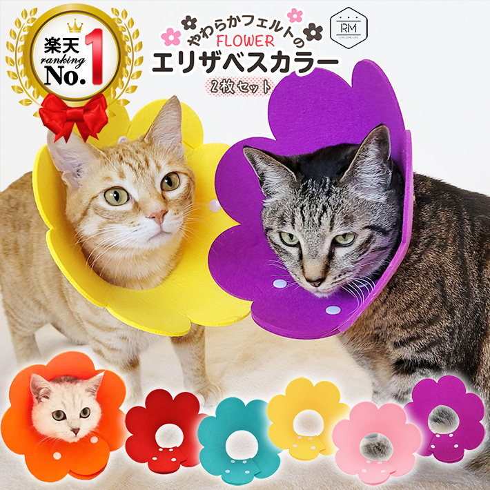 【楽天市場】 楽天1位 エリザベスカラー 【2枚セット】 ペット 猫