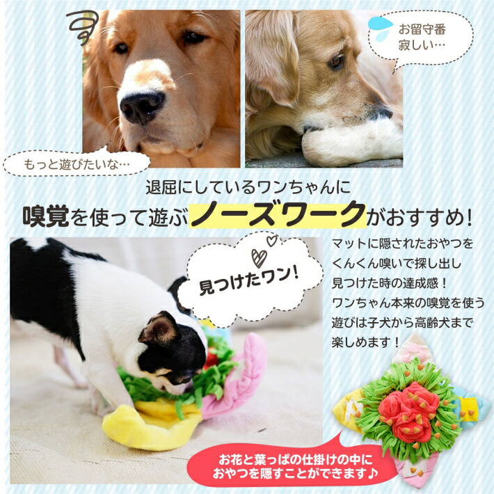 超目玉 転がる 音が出るおもちゃ 知育玩具 ノーズワークマット ペット おもちゃ 動く 嗅覚 犬 ノーズワーク 犬用品