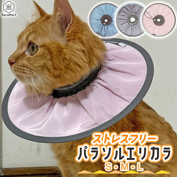 楽天市場】【支援募金対象】エリザベスカラー 猫 犬 ソフト エリカラ