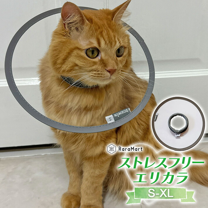 えりささん専用です。 シークレットレア 確認用 えり氏様確認用 シークレットレア 確認用