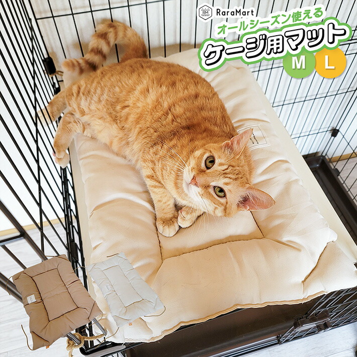 「負けない猫」アンティークwaxベージュ額縁ご確認ページ 負けない猫」アンティークwaxベージュ額縁ご確認ページ