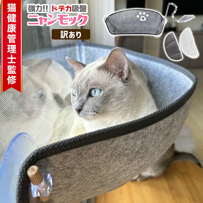 1-ns00199wa.jpg
