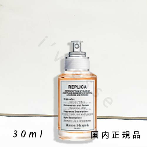 メゾンマルジェラ レプリカ オータム バイブス EDT 100ml 新品 1011573c.jpg