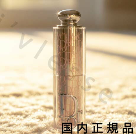 （10時までのご申し付ける当日送りとどける）（休業日除く）国内定まり品 DIOR BACKSTAGE(クリスチャンディオール うしろ側公演)うしろ側公演 グラッシー グロウ 突っ支い棒 / 突っ支い棒 呼びもの