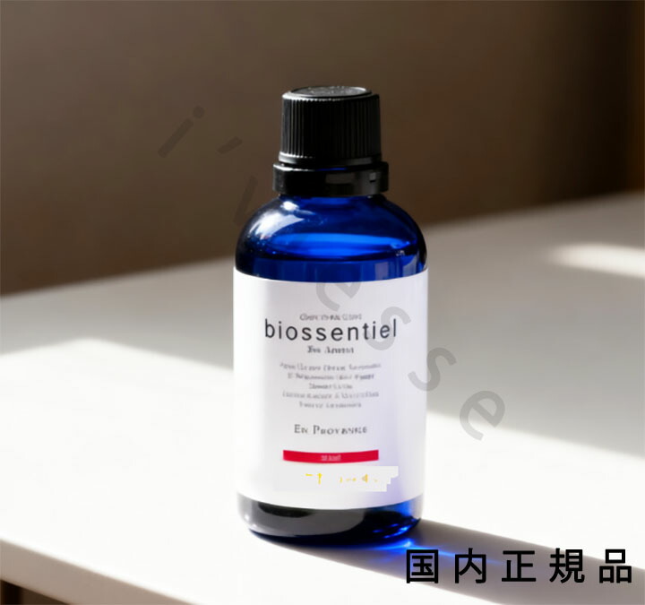 （10時までのご申しつける最短当日送りとどける）（休業日除く）国内置き目品 ビィオセンシィエール（biossentiel）BBM点火装置上半身 上半身油絵の具 60mL 揚水機ノズルL付き添い人