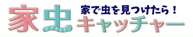 79％以上節約 家虫キャッチャー 逃がすことも殺虫剤も使える捕虫器！ゴキブリ クモ ガ等どんな虫にも使える捕獲器 (箱:透明／柄:グレー) 通販 