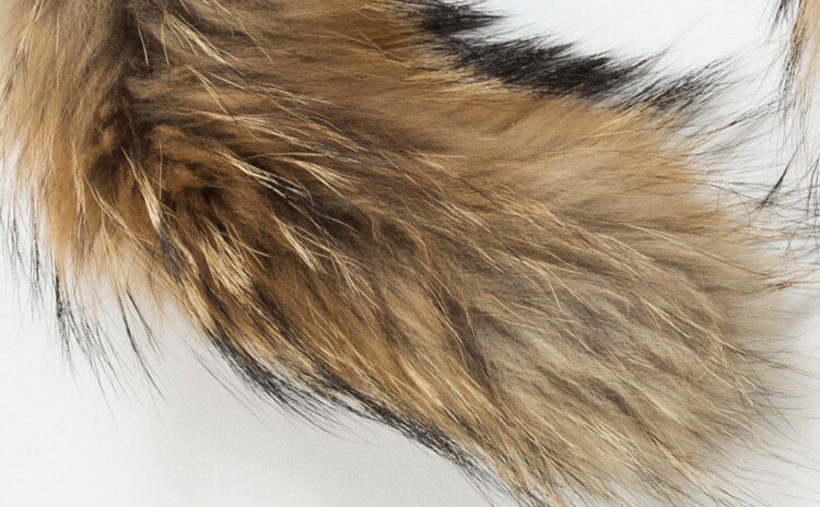 楽天市場 ファー フード 取り付け ファー フード ラクーン30ｍｍ ダウンフード取り付け用 71ｃｍ ダウンコート レディース ロング ティペット マフラー 毛皮 ダウンジャケット 超ロング 超超ロング アミアンハウス