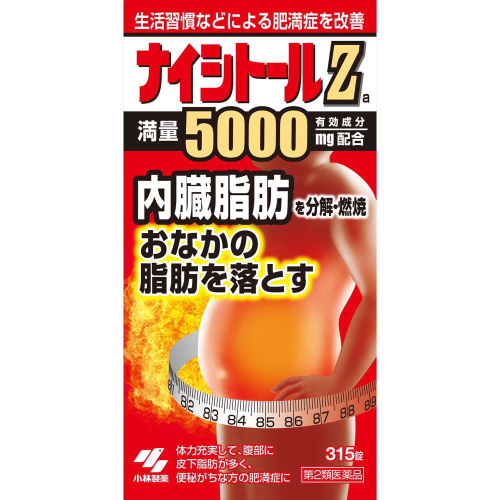 第 類医薬品 小林製薬 ナイシトール 錠 肥満症 高血圧や肥満に伴う動悸 肩こりなどに にきび 内容量 Rodea Gr