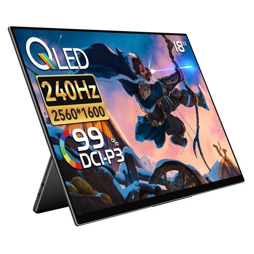 EHOMEWEI モバイルモニター 18インチ 2.5K WQXGA 2560X1600 薄型 6MM リフレッシュレート240HZ ゲーミング モニター ケーブル一本でデバイスと接続可能 スピーカー内蔵 ブルーライトカット ケース付 …|Raspberry Market