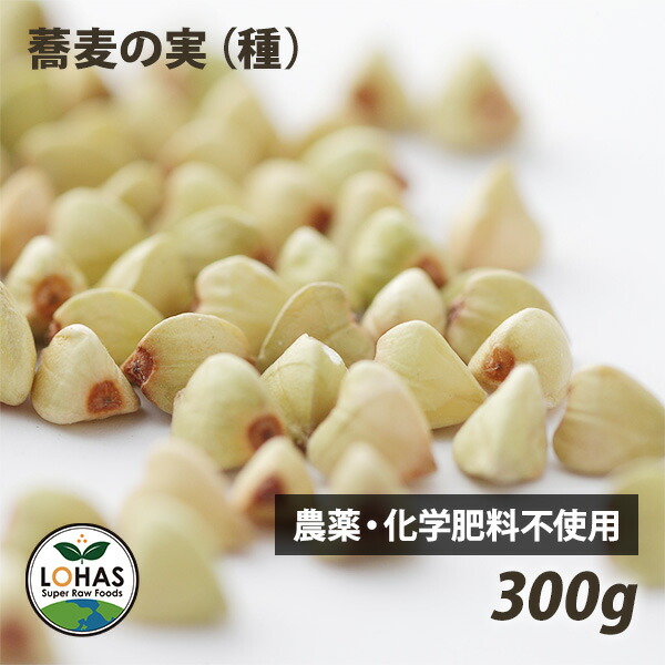 楽天市場】【新そば】玄蕎麦 (そばの種) 450g 【北海道産】キタワセ