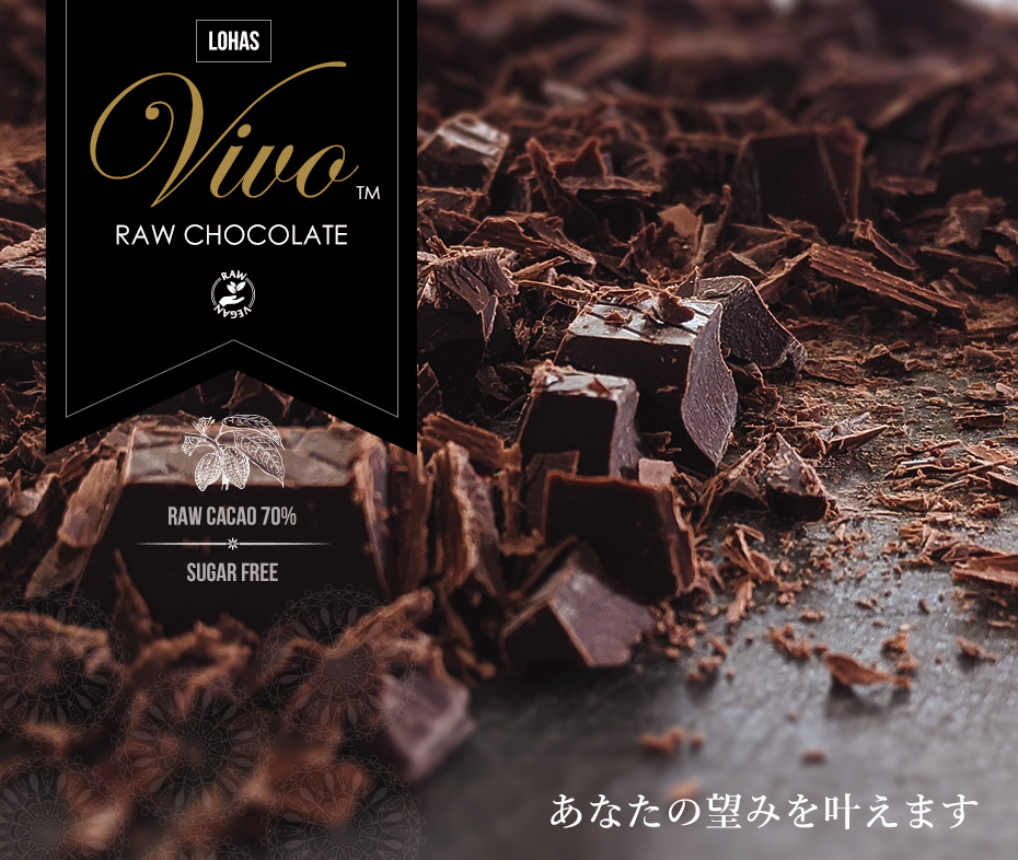 ローチョコレート Vivoダーク 70g×12個セット カカオ70% ギフト ギルトフリー ダイエットチョコ ノンシュガー ビーガン プレゼント  ローカカオ 乳製品不使用 低GI 低糖質 砂糖不使用 大特価放出！ 70g×12個セット