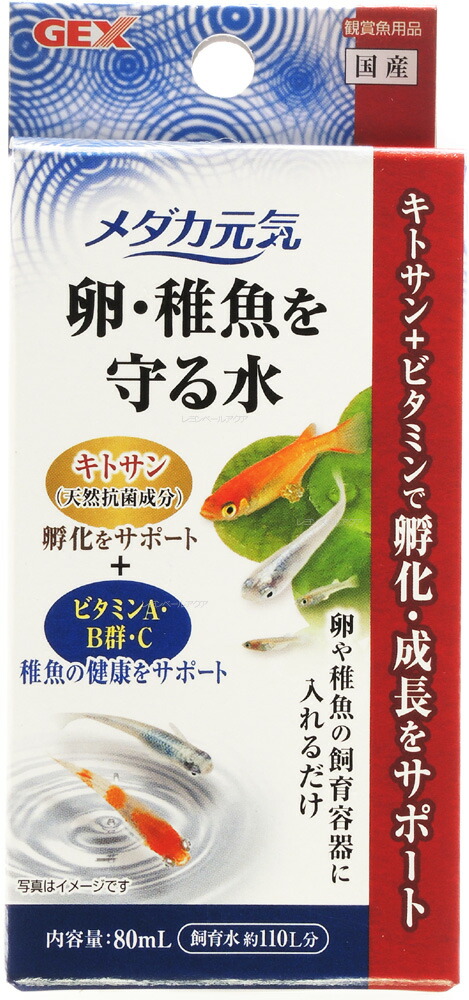 楽天市場】【全国送料無料】【在庫有り!!】GEX メダカ元気 卵・稚魚用クリアケース : レヨンベールアクア楽天市場店