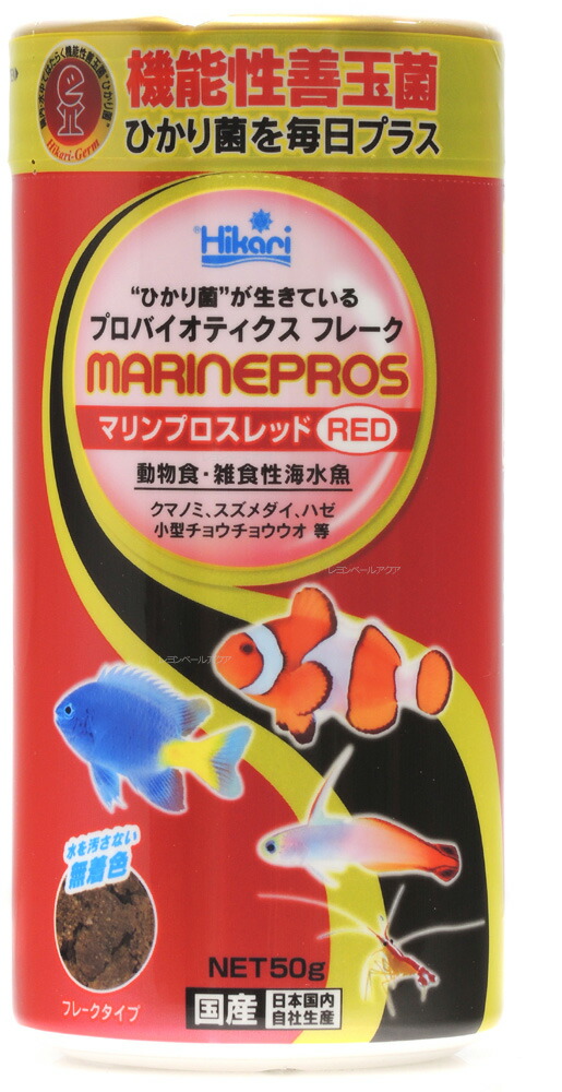 楽天市場】【全国送料無料】カミハタ 水陸両用ポンプ ネワジェット