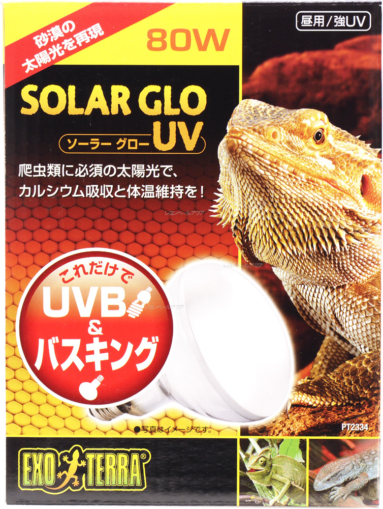 楽天市場】【全国送料無料】GEX エキゾテラ 昼用/強UV ソーラー