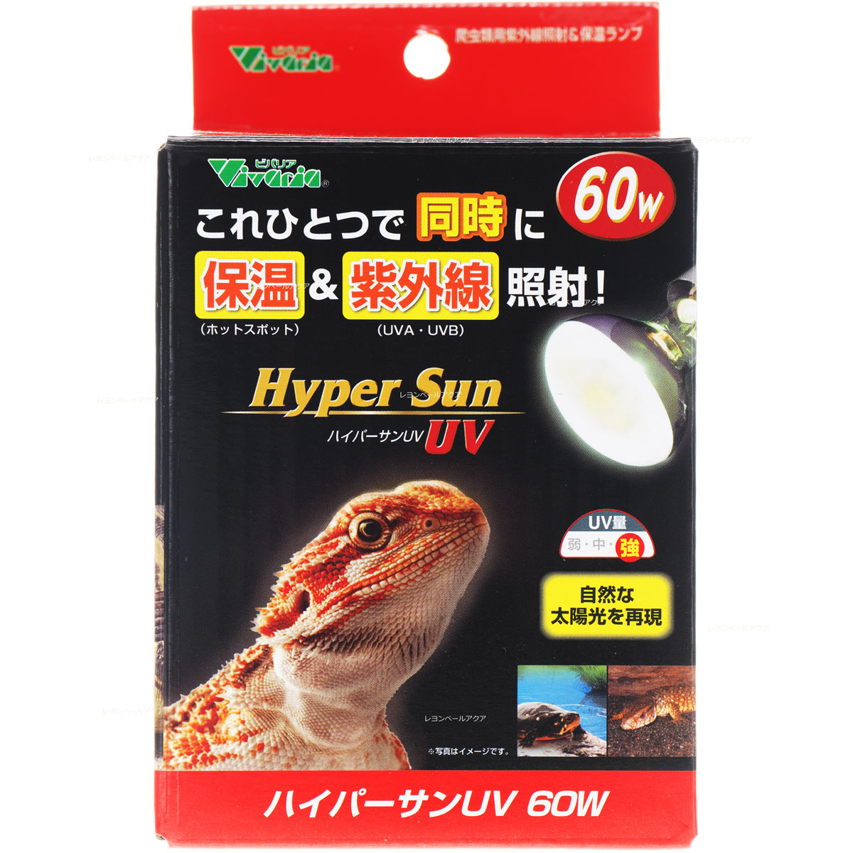 ビバリア ハイパーサンUV 60w 2つセット 楽天市場】【全国送料無料】ビバリア ハイパーサンUV 60W : レヨン