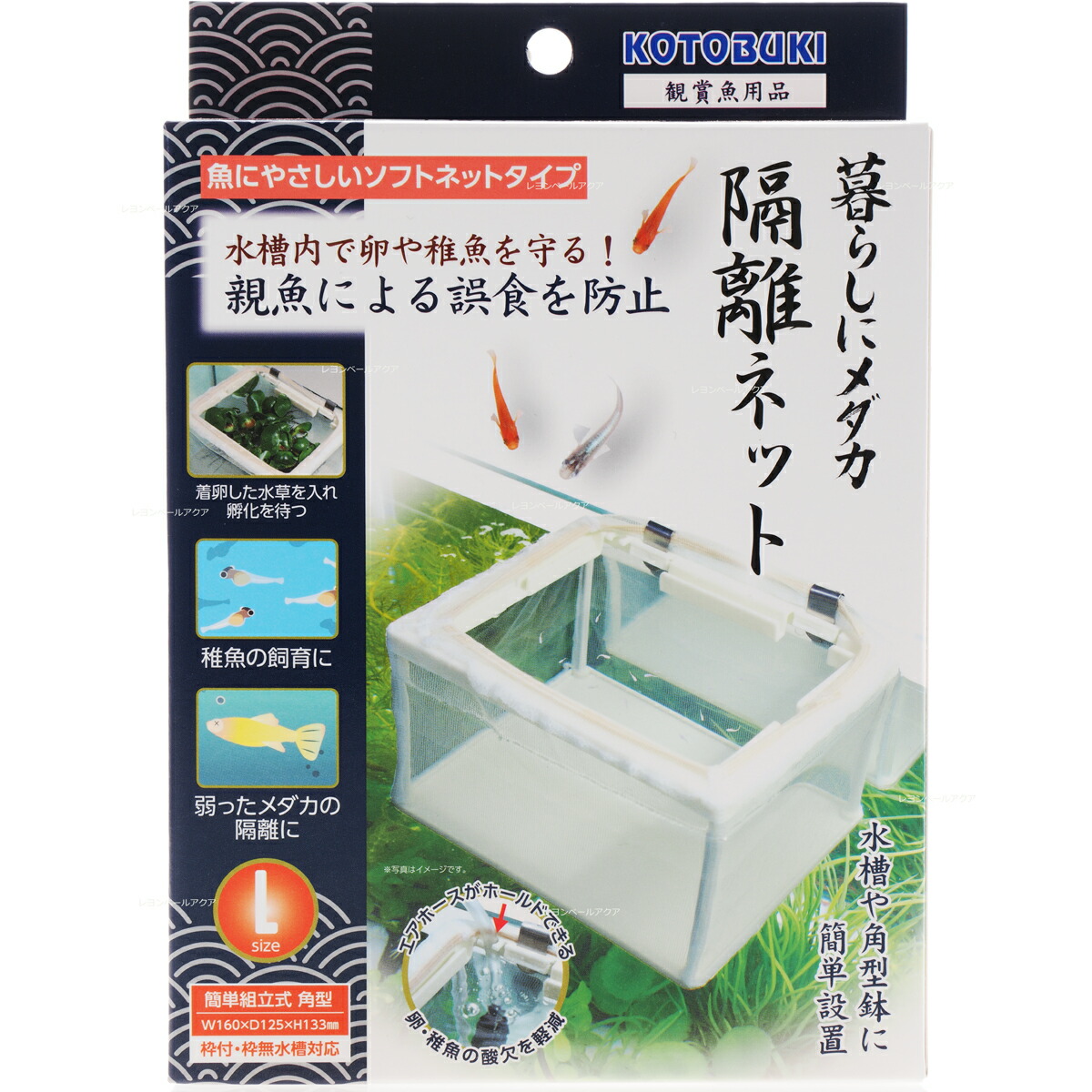 メダカの子ども様【専用】 12963.jpg