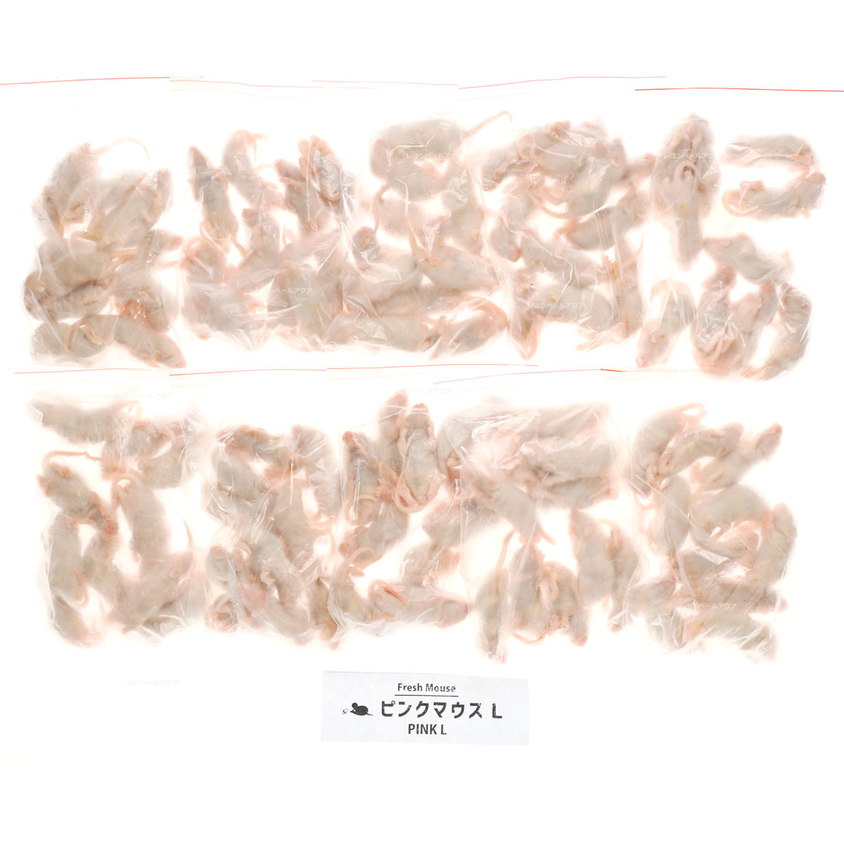 楽天市場】国産冷凍マウス ピンクL 20匹 SAfarm : SAfarm 楽天市場店