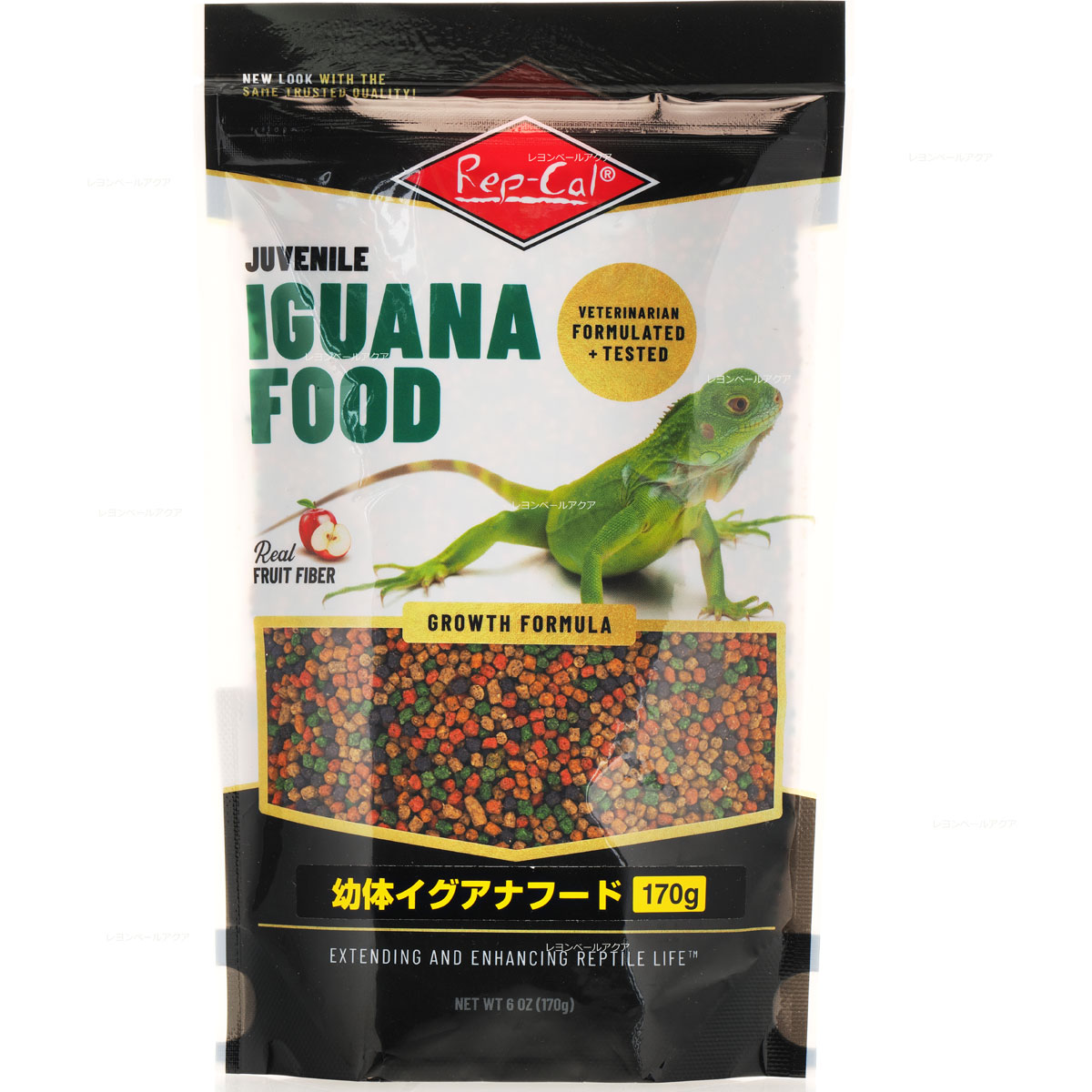 楽天市場】【全国送料無料】ビバリア レップカル 成体イグアナ