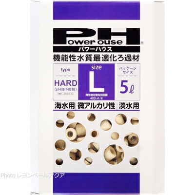 【全国貨物輸送無料】力強さ住み家 5リッター L大きさ 捉え所のない手合い 箱入(青)