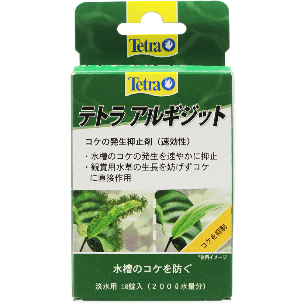 テトラ アルギジット 10錠