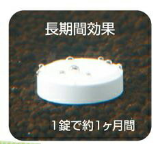 楽天市場 全国送料無料 在庫有り 即ok Gex 水草一番 Co2ブロック 国産 新パッケージ レヨンベールアクア楽天市場店