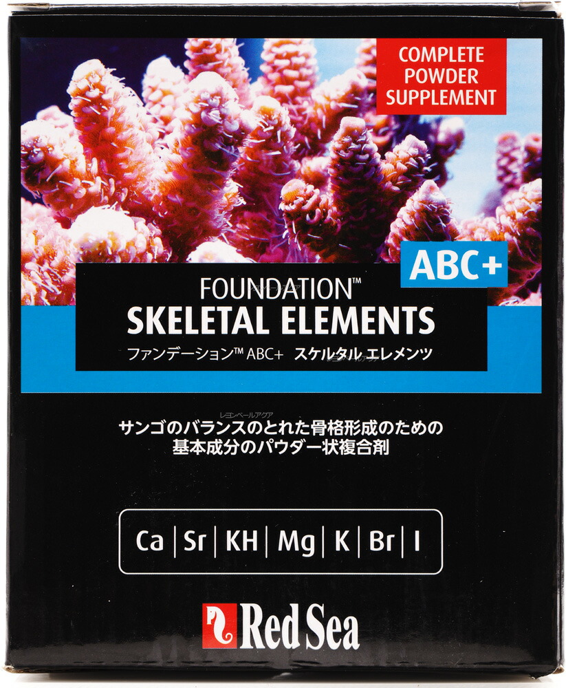 市場 全国送料無料 リーフファンデーションABC+ 在庫有り レッドシー スケルタルエレメンツ