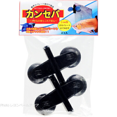 Jun様用 Amazon.co.jp: コーニング Cat6A RJ45モジュラージャック+JISプレート