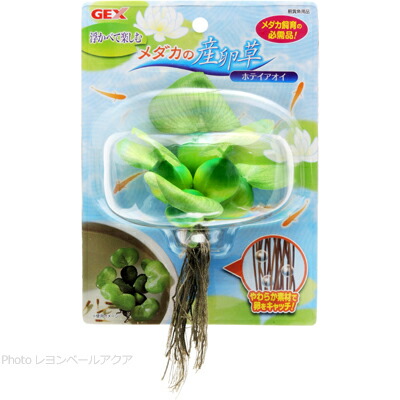 本物新品保証 ショッピング 全国送料無料 在庫有り GEX ホテイアオイ メダカの産卵草