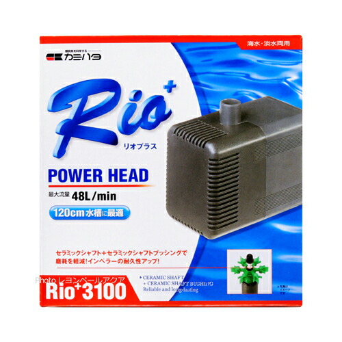 【全国貨物輸送無料】カミハタ パワーヘッドポンプ リオつけ加える Rio+3100 50サイクル 東日本遣りくち