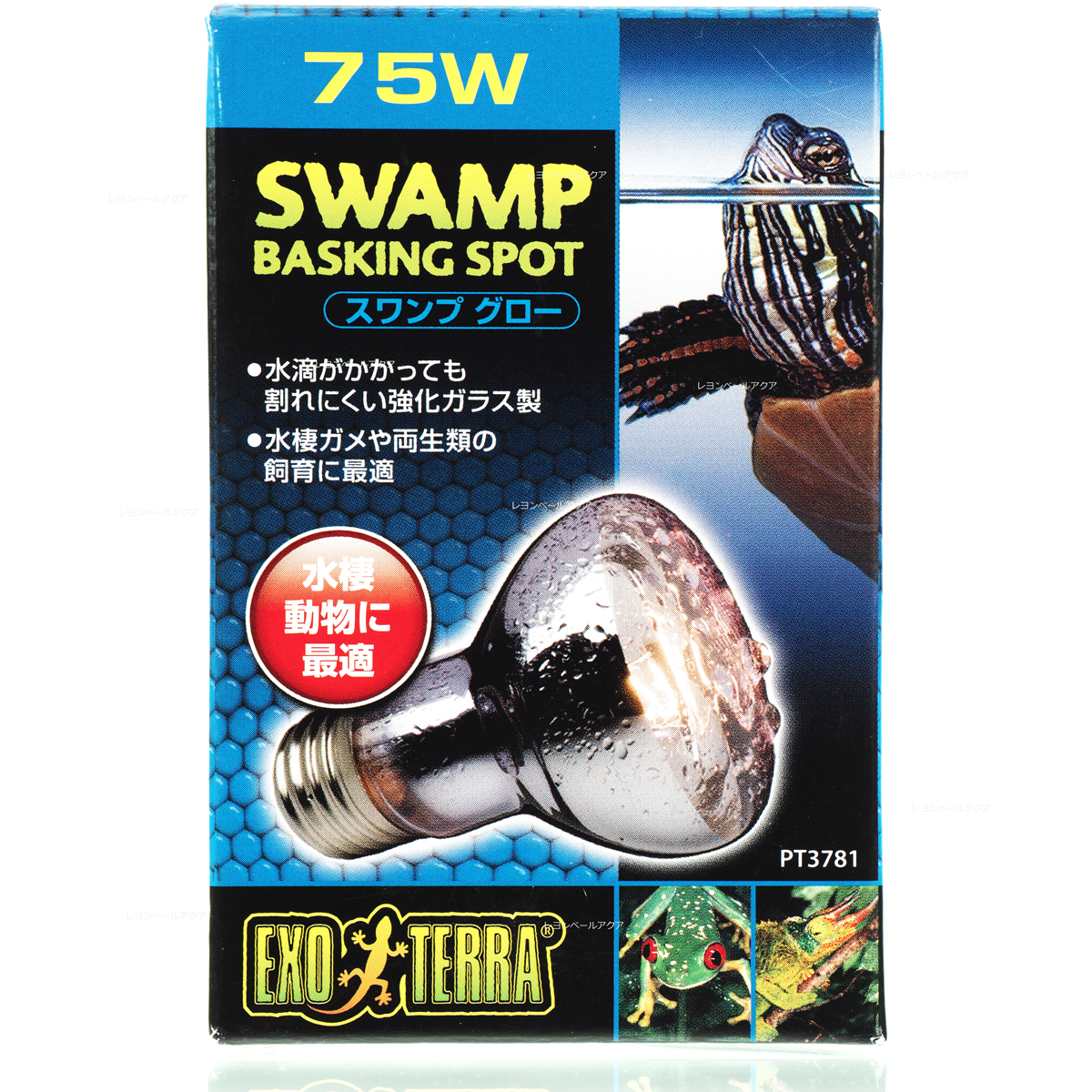27本ダークグリーン・黒バラブーケ 27本ダークグリーン・黒バラブーケ 楽天市場】バラ 黒 花束の通販