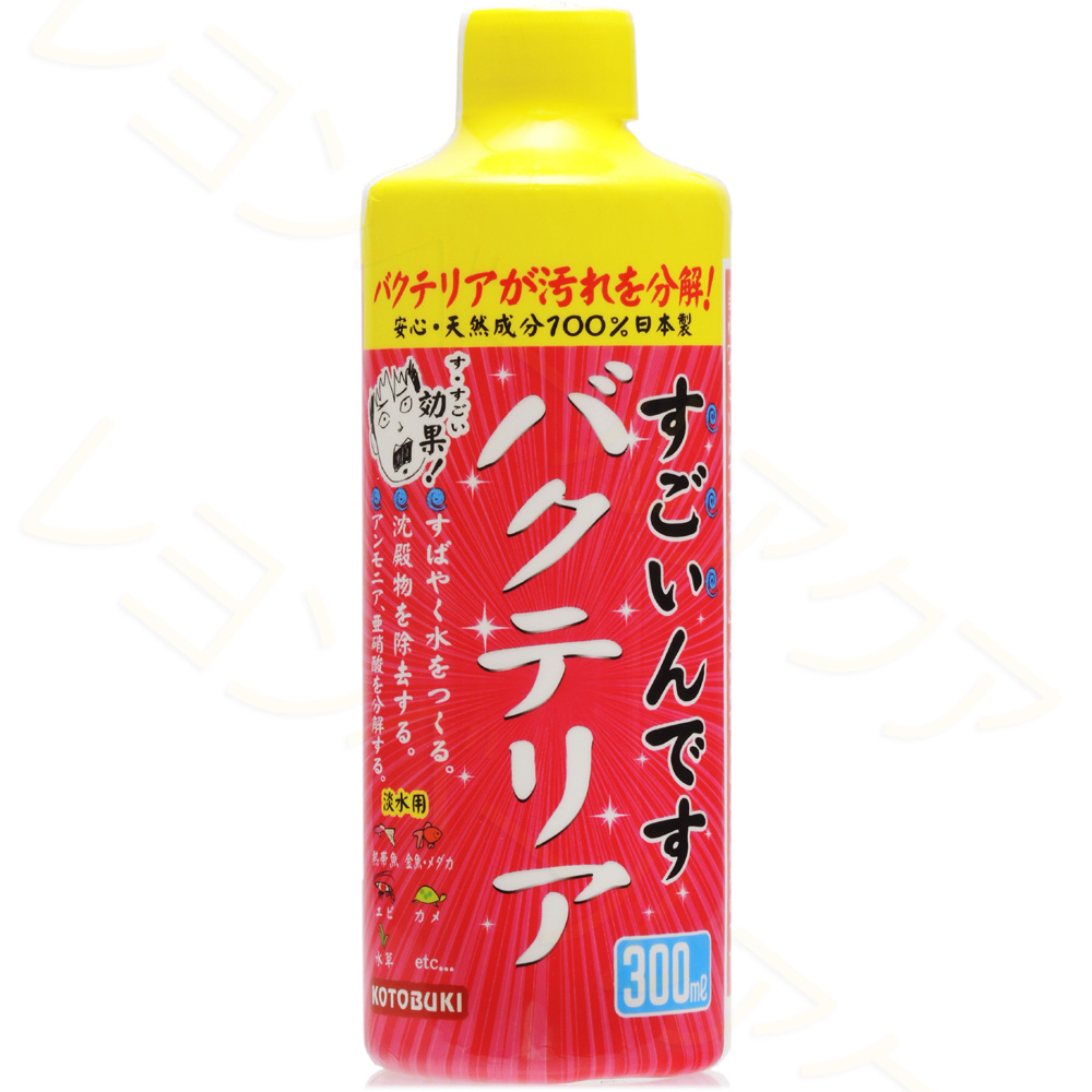 楽天市場 金魚 メダカのバクテリア 250ml 爽快ドラッグ