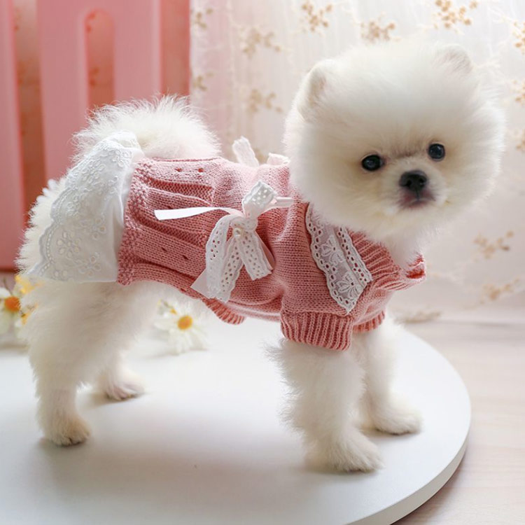 市場 犬 ペット ペットウエア ドッグウェア 犬用 ペット服 猫の服 猫服 ニットトップス 服 猫用 全8デザイン 送料無料 犬服 猫