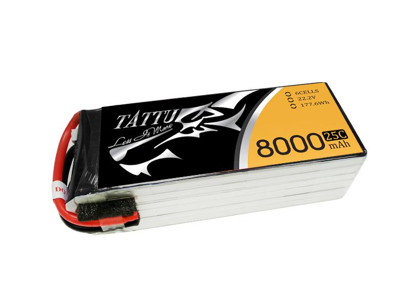 ACE TATUU 8000mA6S25C 27,885円