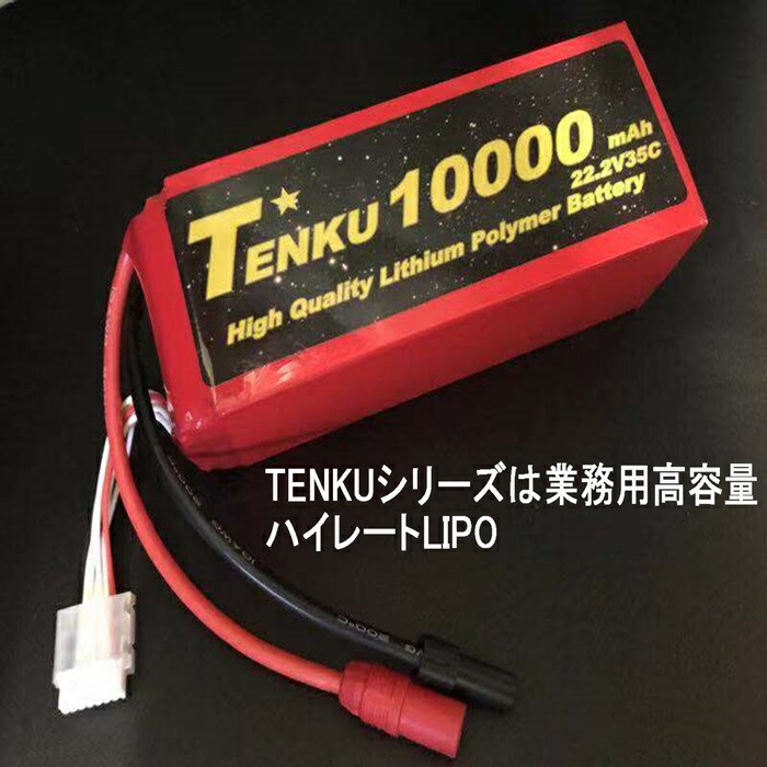 楽天市場】FW200JP3D飛行用LIPO 850mAmA3S45C TATUU850mA3S45C : RCイーテック楽天市場店